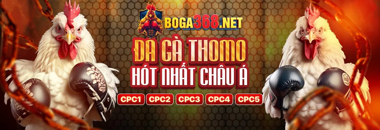 Hình ảnh gà chọi hùng dũng tại 98win link mới